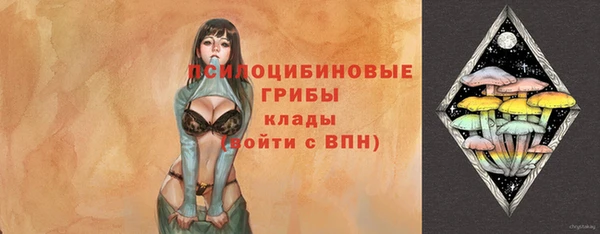крисы Медвежьегорск