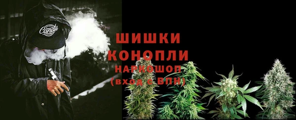 крисы Медвежьегорск