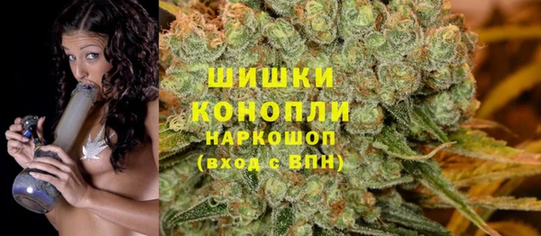 крисы Медвежьегорск