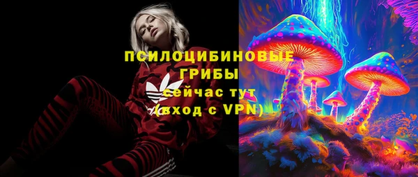 ешки Мегион