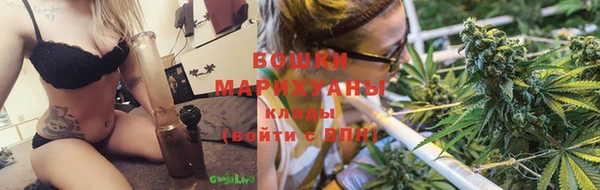 крисы Медвежьегорск