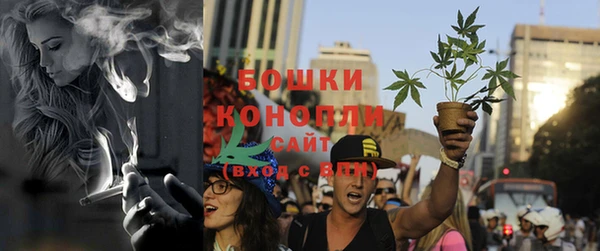 крисы Медвежьегорск