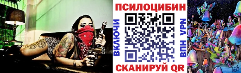 Галлюциногенные грибы Psilocybe  Купить закладки  Истра 